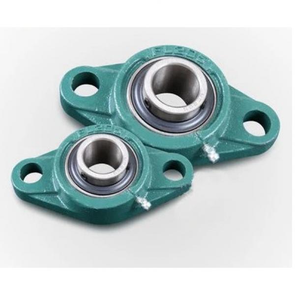 12 mm x 55 mm / The bearing outer ring is blue anodised x 20 mm  INA ZAXFM1255 complex bearings #2 image